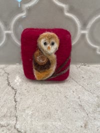Image 1 of Owl / Mouse