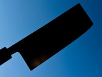 Image 4 of 160MM NAKIRI #303