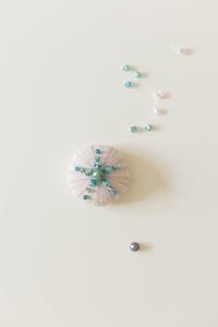 Image 2 of Oursin Mauve et Turquoise