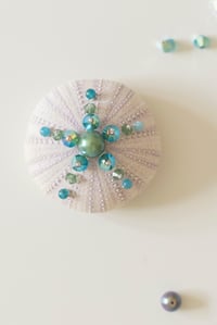 Image 1 of Oursin Mauve et Turquoise