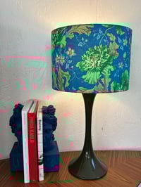 Image of Papaver Green Shade 30cm