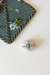 Image 1 of Oursin Rose et Turquoise