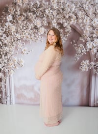 Image 1 of Maternity Session