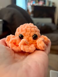 Image 5 of Assorted Baby Octopus Keychains