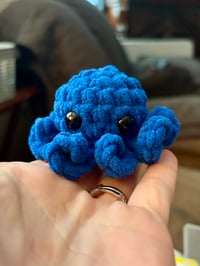 Image 6 of Assorted Baby Octopus Keychains