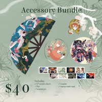 Accessory Bundle