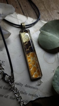Image 1 of Milksnake Skin Pendant