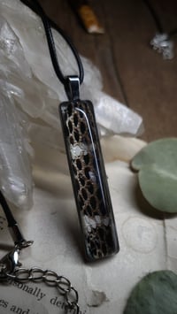 Image 5 of Mangrove Snake Skin Pendant