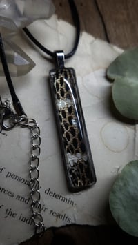 Image 2 of Mangrove Snake Skin Pendant