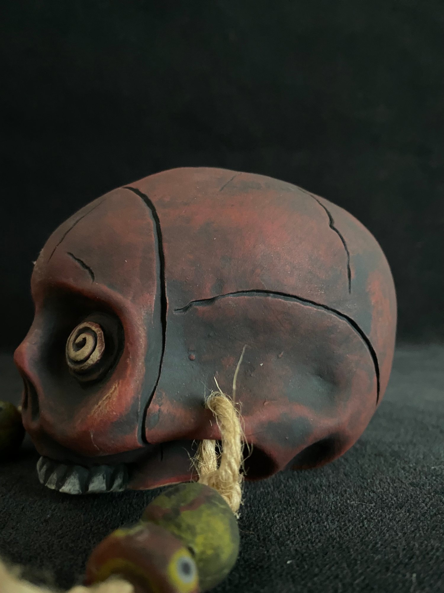 Image of Mini Trophy Skull (b) - US Shipping Included