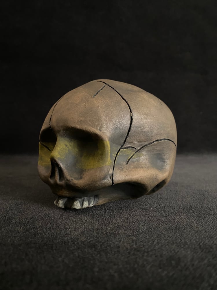 Image of Mini Trophy Skull (c) - IS Shipping Included 
