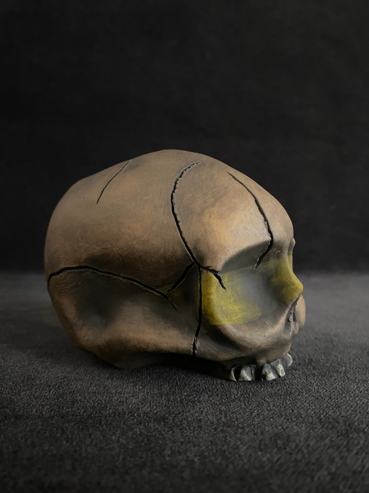 Image of Mini Trophy Skull (c) - IS Shipping Included