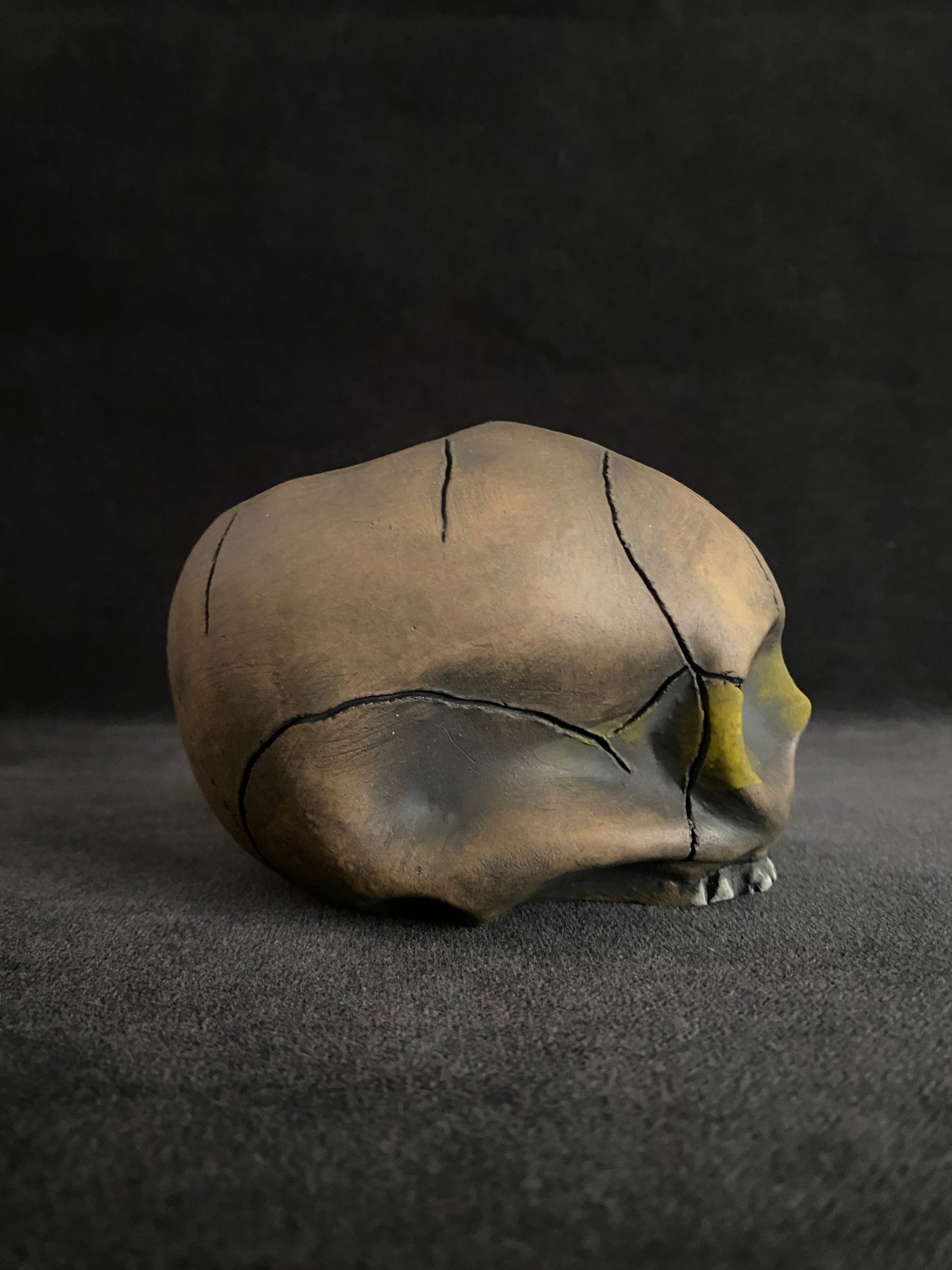 Image of Mini Trophy Skull (c) - IS Shipping Included