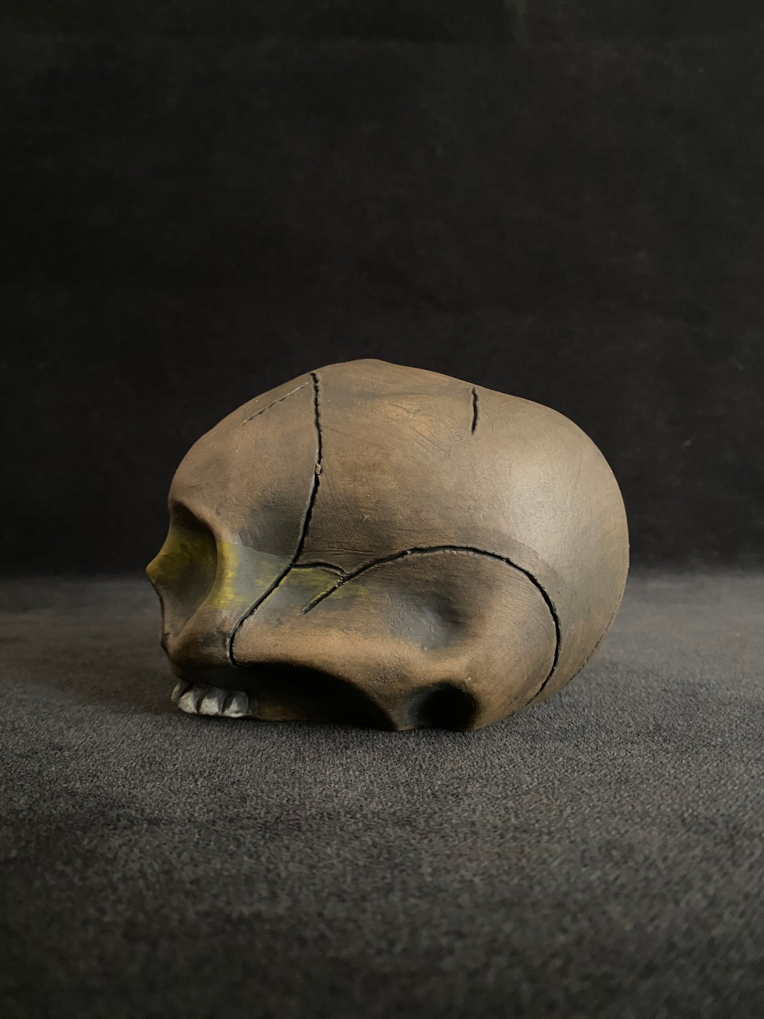 Image of Mini Trophy Skull (c) - IS Shipping Included