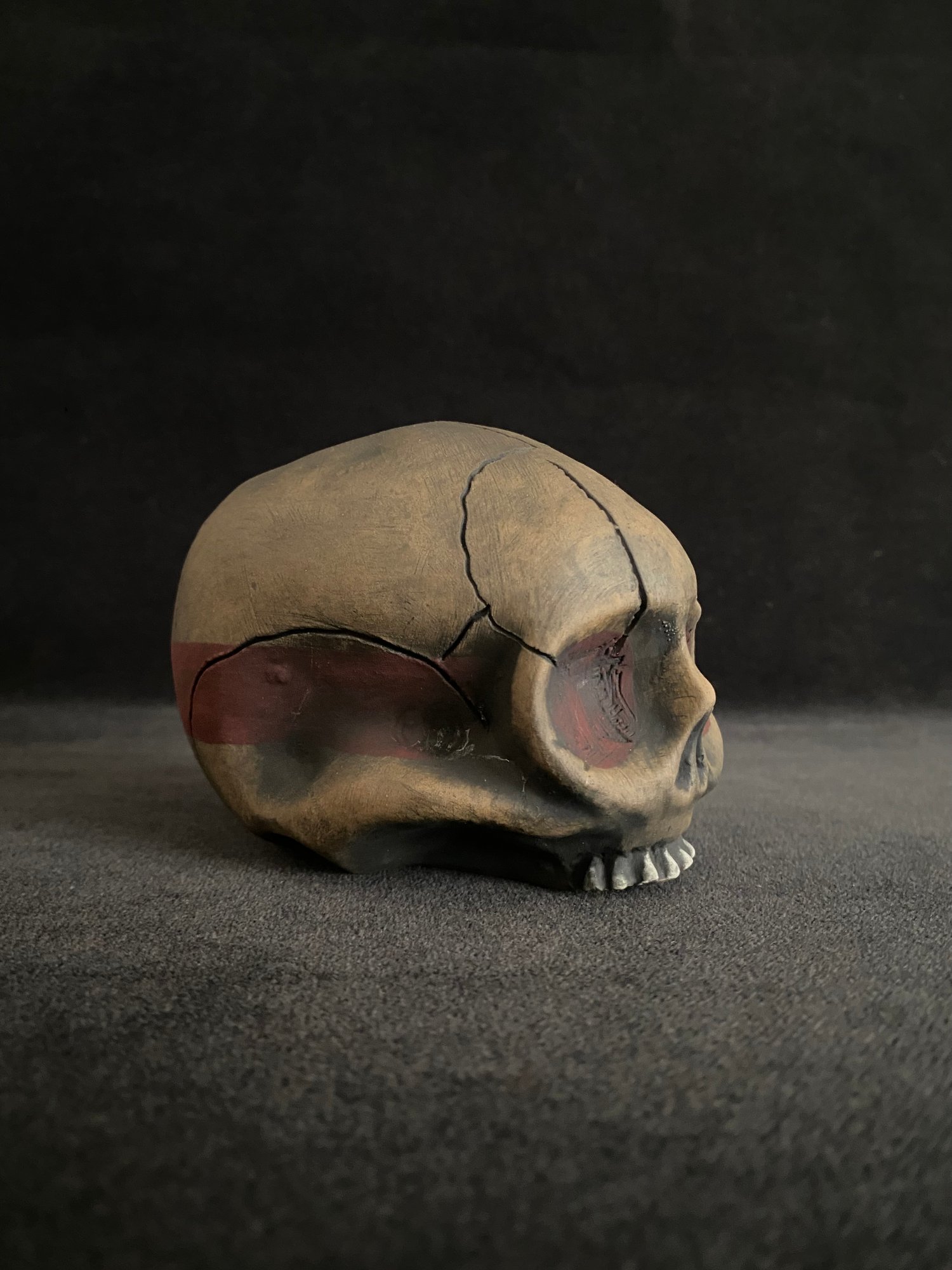 Image of Mini Trophy Skull (d) - US Shipping Included