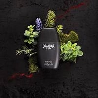 DRAKKAR NOIR