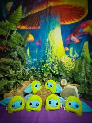 Cosmic Pollywogs!! 4 left!!