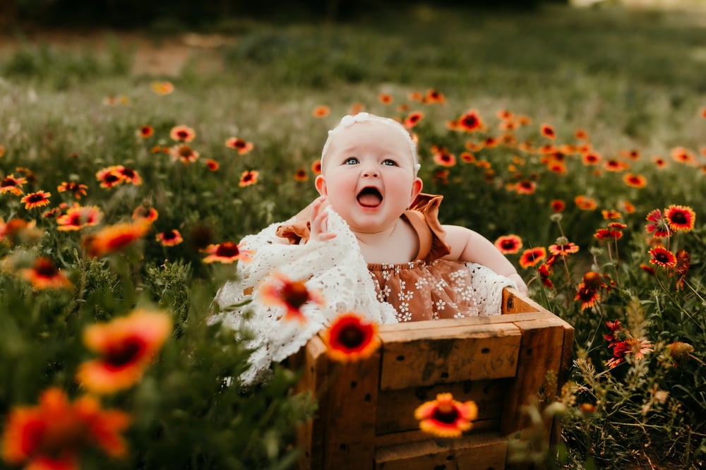 Image of WILDFLOWER MINIS