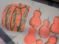 Image 4 of Gourds