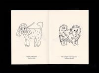 Image 6 of Dogs About Town – Milano