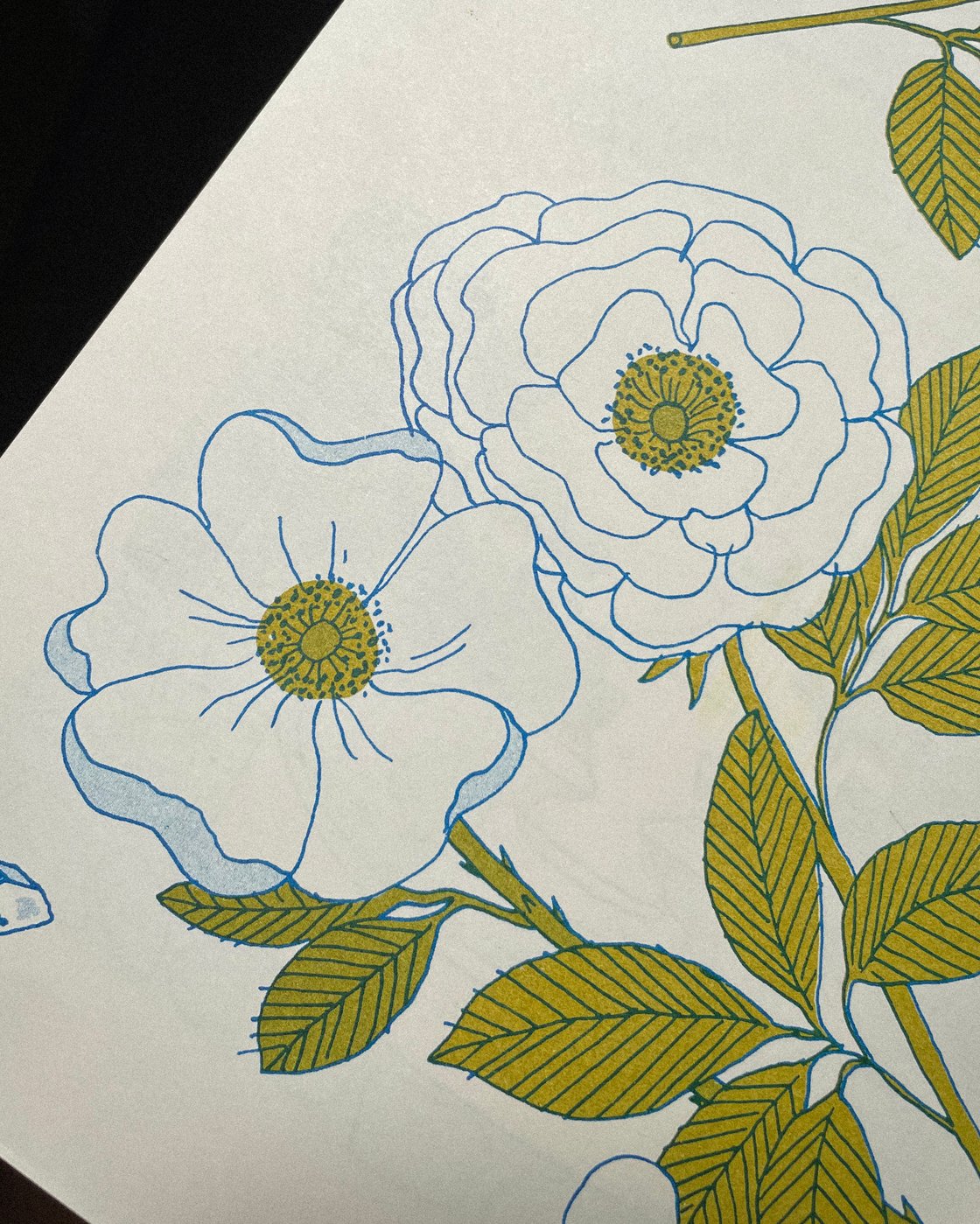 Image of Two Tales of Two Sisters