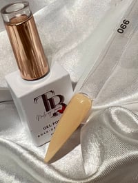 Gel Polish 066