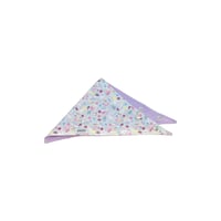 Flamingo and Fruit - Bandana