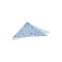 Summer Drinks - Bandana