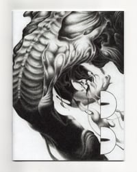 Image 1 of The Wish Comic