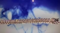 Tennis Bracelet