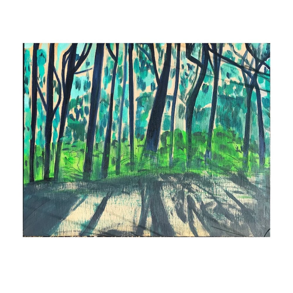 Image of The honesty of trees