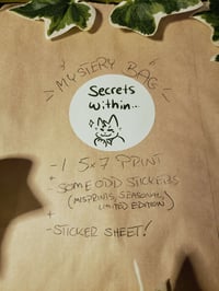 Image 2 of Mystery Bag!