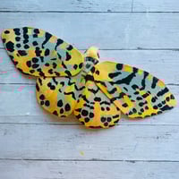 Image 3 of Paper Moth Workshop