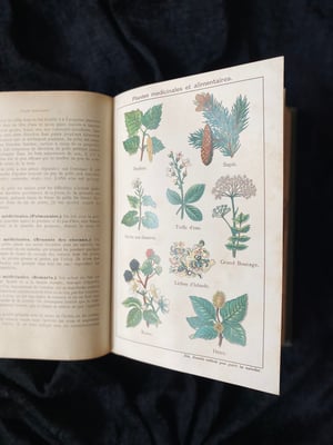 Image of BILZ la nouvelle médication naturelle // Tome 1 (homme) & 2 (femme) // Fin XIXème, début XXème