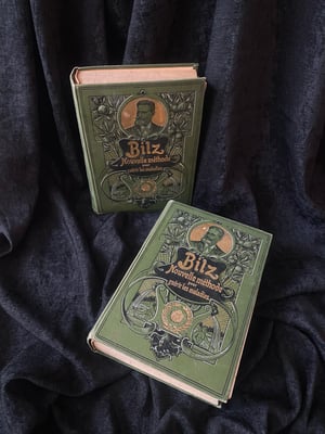 Image of BILZ la nouvelle médication naturelle // Tome 1 (homme) & 2 (femme) // Fin XIXème, début XXème