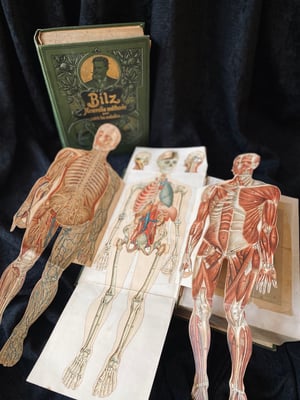 Image of BILZ la nouvelle médication naturelle // Tome 1 (homme) & 2 (femme) // Fin XIXème, début XXème