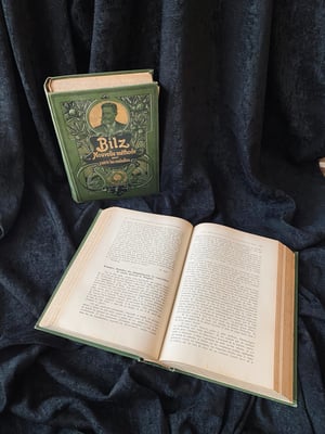 Image of BILZ la nouvelle médication naturelle // Tome 1 (homme) & 2 (femme) // Fin XIXème, début XXème