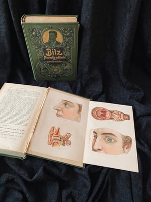 Image of BILZ la nouvelle médication naturelle // Tome 1 (homme) & 2 (femme) // Fin XIXème, début XXème