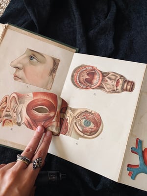 Image of BILZ la nouvelle médication naturelle // Tome 1 (homme) & 2 (femme) // Fin XIXème, début XXème