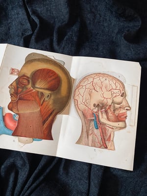 Image of BILZ la nouvelle médication naturelle // Tome 1 (homme) & 2 (femme) // Fin XIXème, début XXème