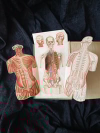 Image 17 of BILZ la nouvelle médication naturelle // Tome 1 (homme) & 2 (femme) // Fin XIXème, début XXème