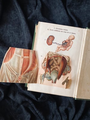 Image of BILZ la nouvelle médication naturelle // Tome 1 (homme) & 2 (femme) // Fin XIXème, début XXème