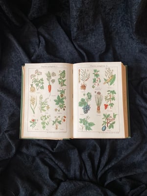 Image of BILZ la nouvelle médication naturelle // Tome 1 (homme) & 2 (femme) // Fin XIXème, début XXème