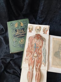 Image 11 of BILZ la nouvelle médication naturelle // Tome 1 (homme) & 2 (femme) // Fin XIXème, début XXème