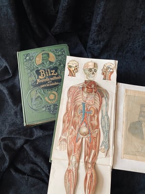 Image of BILZ la nouvelle médication naturelle // Tome 1 (homme) & 2 (femme) // Fin XIXème, début XXème