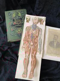 Image 12 of BILZ la nouvelle médication naturelle // Tome 1 (homme) & 2 (femme) // Fin XIXème, début XXème