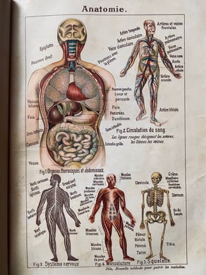 Image of BILZ la nouvelle médication naturelle // Tome 1 (homme) & 2 (femme) // Fin XIXème, début XXème