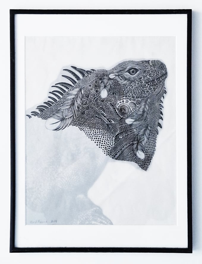 Image of L'Iguane