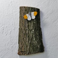 Image 3 of Orange Tip