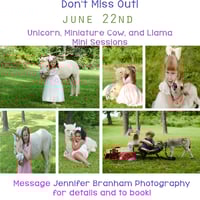 Image 1 of 2025 Unicorn/Mini Cow Minis~ {June 22nd}